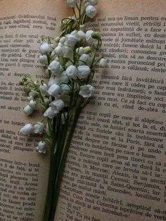 some white flowers on top of an open book