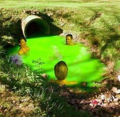 two people are swimming in a green pool that is surrounded by rocks and grass, while another person looks on