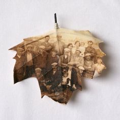 an old photo of people on a leaf