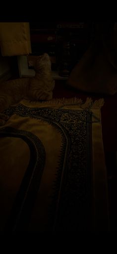 prayer mat / muslim / cat / night / dua / islam / orange cat / peace Namaz Asthetic Pics, Praying Asthetic Picture Islam, Praying Mat Aesthetic, Muslim Prayer Photography, Fajar Prayer, Prayer Mat Aesthetic, Prayer Mat, Praying Mat, Praying Mat Islam Aesthetic