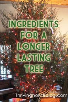 a christmas tree with the words ingredients for a longer lasting tree on it in front of a piano