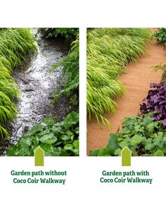 garden path without coco coir walk way with water flowing through it and surrounded by green plants