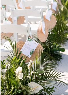 a row of white chairs sitting next to each other near palm trees and greenery