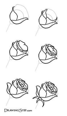 an image of how to draw roses with pencils on the app store's iphone