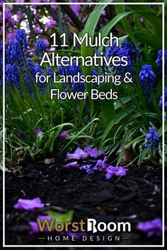 mulch alternatives Simple Mulch Bed Ideas, Mulch Free Landscaping, Slate Mulch Landscaping, Rocks As Mulch Landscape Design, Instead Of Mulch What To Use, Cheap Mulch Alternatives, Mulch Landscaping Ideas Around House, Rock Mulch Flower Beds, No Mulch Flower Beds