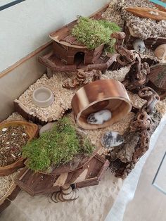 a table topped with lots of different types of plants and bowls on top of sand