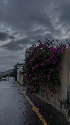 purple flowers are growing on the side of a building in front of a dark cloudy sky