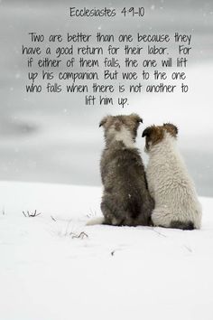 Encouraging Bible Verses:We all have a two and prob more. You are not alone. Help each other, be with each other, encourage each other. M Ecclesiastes 4:9-10, Woord Van God, Favorite Bible Verses, Scripture Quotes, Verse Quotes, A Quote, Bible Verses Quotes, Scripture Verses, God Is Good