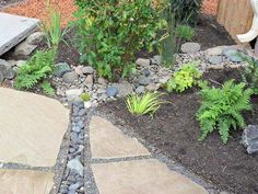 a garden with rocks and plants in it