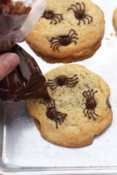 someone is picking up some cookies with chocolate on them and the cookie has spider webs on it