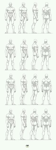 the different poses and body shapes for each character in an animation game, which is drawn by