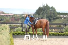 a woman standing next to a brown horse on top of a dirt field