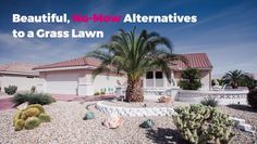 a palm tree in front of a house with the words beautiful, no - new alternatives to a grass lawn