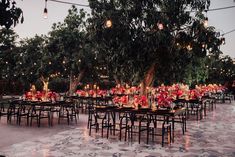 tables and chairs are set up for an outdoor event with lights strung from the trees