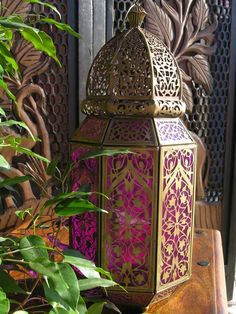 a purple and gold lantern sitting on top of a wooden table next to green plants