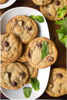 chocolate chip cookies with mint sprig on white plate