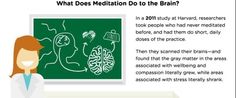 The Skeptic's Guide To Meditation Meditation Infographic, Clean Mind, Guide To Meditation, Calming Rituals, Mindful Yoga, Zen Place, Time To Study, Transcendental Meditation, Meditation Mantras