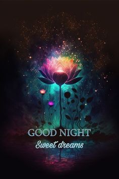 the words good night sweet dreams are in front of an image of a lotus flower