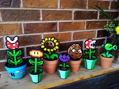 a bunch of plants that are sitting on a shelf in front of a brick wall