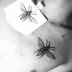 a black and white photo of two bees on the stomach