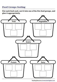 food groups sorting worksheet for kids to help them learn how to sort and label