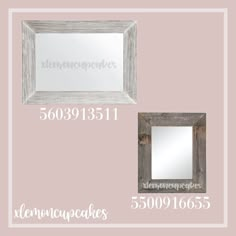 two different frames with the words xenomppoies on them and one has a mirror in it