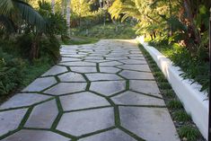 a stone walkway with grass growing on it