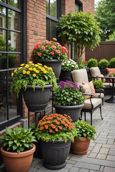 several potted plants on the side of a building