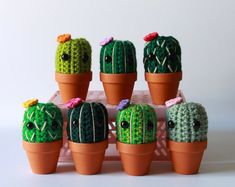 small crocheted cactus plants are arranged in pots