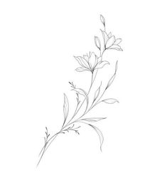 a line drawing of some flowers on a white background