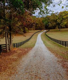 Future Farms, Dream Life House, Barn Style House, Ranch Life, Horse Barns, In The Beginning, Dream House Exterior, Dream House Plans, Pretty Places