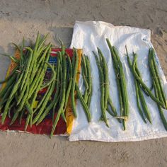 green beans are laid out on a towel