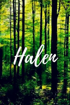 the words holle written in white on a green forest background