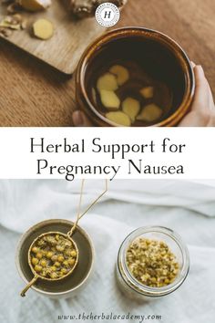 Herbal Support for Pregnancy Nausea | Herbal Academy | Even though early pregnancy nausea can be really challenging, you will find some holistic approaches and herbs to combat pregnancy nausea. Natural Remedy For Nausea, Pregnancy Nausea Remedies, Pregnancy Nausea Relief, Natural Nausea Remedies, Holistic Pregnancy, Pregnancy Remedies, Nausea During Pregnancy, Morning Sickness Remedies, Tea Blends Recipes