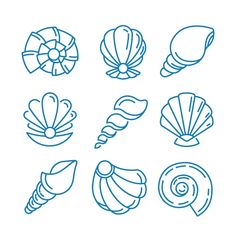 seashells line art icon set stock photo © shutterstocker - royaltyfruit