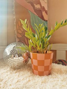 a potted plant sitting on top of a white rug next to a disco ball