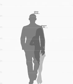 the silhouette of a man with different body measurements