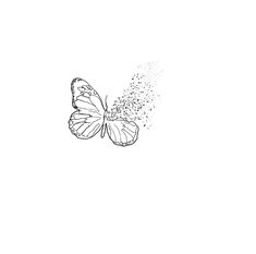 a black and white drawing of a butterfly flying in the air with dust coming out of it's wings