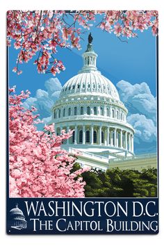 Washington DC, Capitol Building and Cherry Blossoms, Lantern Press Artwork, Art Prints and Metal Signs Art Lantern Press Cherry Blossom Washington Dc, Washington Dc Capitol, Washington Dc Art, Retro Travel Poster, Large Framed Prints, Giclee Art, Months In A Year, Giclee Art Print