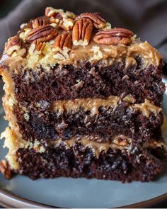 a slice of chocolate cake with pecans on top