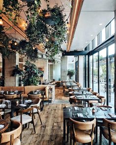 a restaurant with wooden tables and chairs, plants hanging from the ceiling over it's windows