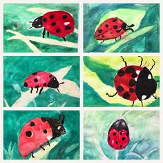 four paintings of ladybugs on green leaves