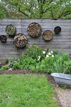 a garden with lots of different types of trees and plants hanging on the side of a wooden wall