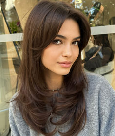 Butterfly Haircut Low Maintenance, Long Bangs Straight Hair Mid Length, Good Haircut For Straight Hair, Mid Length Dark Hair With Layers, Side Bangstyle Hair Long Straight, Best Haircut For Straight Hair, No Layers Haircut, Hair Bangs Straight, Straight Hair Haircut