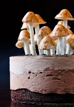 a chocolate cake topped with lots of mushrooms on top of it's icing