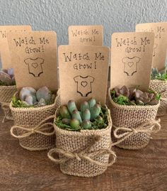 three small baskets filled with succulents on top of a wooden table next to tags that say watch me grow