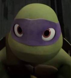 a close up of a stuffed animal wearing a purple and green turtle costume with big eyes