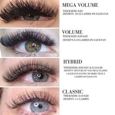 Types Of Eyelashes, Types Of Eyelash Extensions, Eyelash Extensions Care, Eyelash Tips, Eyelash Technician, Eyelash Extensions Styles, Lash Extensions Styles, Volume Lash Extensions, Perfect Eyelashes