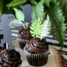 some cupcakes with chocolate frosting and green leaves on top are sitting on a table