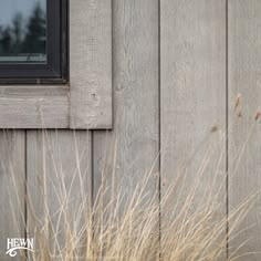 some brown grass and a window on a wooden building